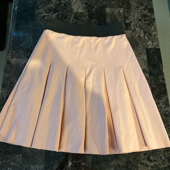 Zara Pale Pink Pleated Skirt - Picture 1 of 2